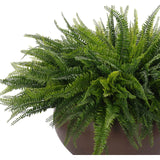 Designed for exterior spaces, this UV-rated product delivers all-season beauty and luxury. Perfect for patios, decks, entryways, or any outdoor living area. Embrace nature?s charm with the green Fern Boston, thoughtfully displayed in a Concrete Bowl. Amethyst Home provides interior design, new home construction design consulting, vintage area rugs, and lighting in the Washington metro area.