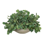 Bring timeless beauty into your home with the green Eucalyptus in a concrete bowl. Measuring 15", it's a versatile addition to your living room, bedroom, or entryway, complementing both classic and modern styles. Admire the lifelike blooms and rich foliage, providing a timeless touch to your home's ambiance. Amethyst Home provides interior design, new home construction design consulting, vintage area rugs, and lighting in the Tampa metro area.