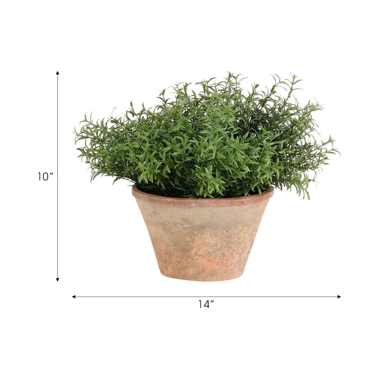 Designed for exterior spaces, this UV-rated product delivers all-season beauty and luxury. Perfect for patios, decks, entryways, or any outdoor living area. Embrace nature?s charm with the green Herb, thoughtfully displayed in a Terracotta Pot. Amethyst Home provides interior design, new home construction design consulting, vintage area rugs, and lighting in the Alpharetta metro area.