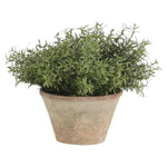 Designed for exterior spaces, this UV-rated product delivers all-season beauty and luxury. Perfect for patios, decks, entryways, or any outdoor living area. Embrace nature?s charm with the green Herb, thoughtfully displayed in a Terracotta Pot. Amethyst Home provides interior design, new home construction design consulting, vintage area rugs, and lighting in the Austin metro area.