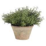 Designed for exterior spaces, this UV-rated product delivers all-season beauty and luxury. Perfect for patios, decks, entryways, or any outdoor living area. Embrace nature?s charm with the green Herb, thoughtfully displayed in a Terracotta Pot. Amethyst Home provides interior design, new home construction design consulting, vintage area rugs, and lighting in the Austin metro area.