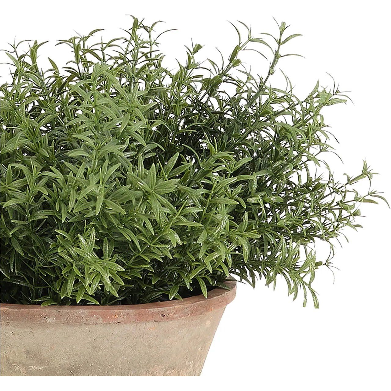 Designed for exterior spaces, this UV-rated product delivers all-season beauty and luxury. Perfect for patios, decks, entryways, or any outdoor living area. Embrace nature?s charm with the green Herb, thoughtfully displayed in a Terracotta Pot. Amethyst Home provides interior design, new home construction design consulting, vintage area rugs, and lighting in the Houston metro area.