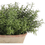 Designed for exterior spaces, this UV-rated product delivers all-season beauty and luxury. Perfect for patios, decks, entryways, or any outdoor living area. Embrace nature?s charm with the green Herb, thoughtfully displayed in a Terracotta Pot. Amethyst Home provides interior design, new home construction design consulting, vintage area rugs, and lighting in the Houston metro area.