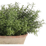 Designed for exterior spaces, this UV-rated product delivers all-season beauty and luxury. Perfect for patios, decks, entryways, or any outdoor living area. Embrace nature?s charm with the green Herb, thoughtfully displayed in a Terracotta Pot. Amethyst Home provides interior design, new home construction design consulting, vintage area rugs, and lighting in the Houston metro area.