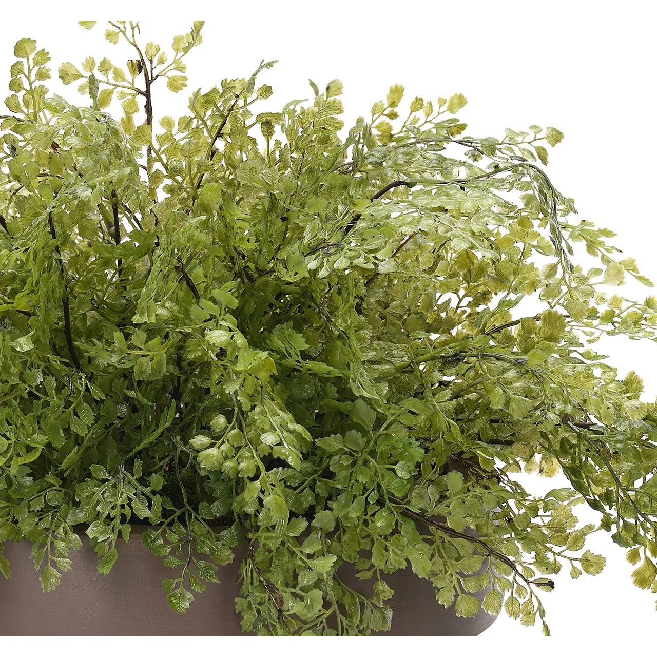 Fern Maidenhair, Faux Arrangement, 13". Our concrete containers come with visible pores and an authentic, natural concrete finish. As with all concrete and handmade items, each container varies and may come with slight differences in finish and texture. These variations are not considered imperfections. Amethyst Home provides interior design, new home construction design consulting, vintage area rugs, and lighting in the Alpharetta metro area.