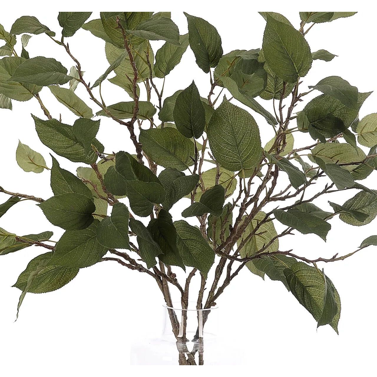 Add a burst of elegance with the green Leaf Branch, set in a glass vase. At 36", this piece captures the natural beauty of each petal, making it ideal for brightening up office desks or kitchen countertops. Enjoy its lasting beauty year-round, perfect for adding seasonal flair without any upkeep Amethyst Home provides interior design, new home construction design consulting, vintage area rugs, and lighting in the Portland metro area.