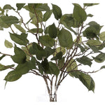 Add a burst of elegance with the green Leaf Branch, set in a glass vase. At 36", this piece captures the natural beauty of each petal, making it ideal for brightening up office desks or kitchen countertops. Enjoy its lasting beauty year-round, perfect for adding seasonal flair without any upkeep Amethyst Home provides interior design, new home construction design consulting, vintage area rugs, and lighting in the Portland metro area.