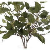 Add a burst of elegance with the green Leaf Branch, set in a glass vase. At 36", this piece captures the natural beauty of each petal, making it ideal for brightening up office desks or kitchen countertops. Enjoy its lasting beauty year-round, perfect for adding seasonal flair without any upkeep Amethyst Home provides interior design, new home construction design consulting, vintage area rugs, and lighting in the Portland metro area.