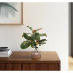 Create a luxurious atmosphere with this green Magnolia Branch, housed in a glass cylinder. With a height of 14", this arrangement offers a striking and elegant presence, blending seamlessly with seasonal or year-round decor. Experience the charm of this arrangement, maintenance-free and ideal for those who love fresh, vibrant decor Amethyst Home provides interior design, new home construction design consulting, vintage area rugs, and lighting in the San Diego metro area.