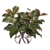 Add a burst of elegance with the green Magnolia Branch, set in a glass vase. Standing at 15", this lifelike faux design adds sophistication, perfect for a dining table centerpiece or console display. Experience the charm of this arrangement, maintenance-free and ideal for those who love fresh, vibrant decor Amethyst Home provides interior design, new home construction design consulting, vintage area rugs, and lighting in the Park City metro area.