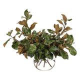 Magnolia Leaf Branches, Faux Greenery Watergarden, 31 Amethyst Home provides interior design, new home construction design consulting, vintage area rugs, and lighting in the Newport Beach metro area.