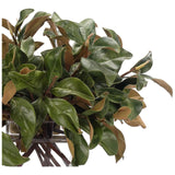 Magnolia Leaf Branches, Faux Greenery Watergarden, 31 Amethyst Home provides interior design, new home construction design consulting, vintage area rugs, and lighting in the Portland metro area.