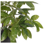 Embrace nature's charm with the green Money Tree Branch, thoughtfully displayed in a resin urn. Reaching 41", it's a graceful addition that enhances small nooks, shelves, or bathroom vanities, adding a refined touch. A stunning addition to any setting, it remains fresh and beautiful, with zero effort required Amethyst Home provides interior design, new home construction design consulting, vintage area rugs, and lighting in the Kansas City metro area.