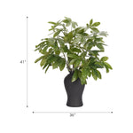 Embrace nature's charm with the green Money Tree Branch, thoughtfully displayed in a resin urn. Reaching 41", it's a graceful addition that enhances small nooks, shelves, or bathroom vanities, adding a refined touch. A stunning addition to any setting, it remains fresh and beautiful, with zero effort required Amethyst Home provides interior design, new home construction design consulting, vintage area rugs, and lighting in the San Diego metro area.