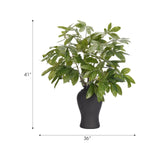 Embrace nature's charm with the green Money Tree Branch, thoughtfully displayed in a resin urn. Reaching 41", it's a graceful addition that enhances small nooks, shelves, or bathroom vanities, adding a refined touch. A stunning addition to any setting, it remains fresh and beautiful, with zero effort required Amethyst Home provides interior design, new home construction design consulting, vintage area rugs, and lighting in the San Diego metro area.