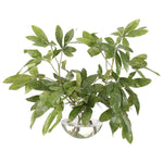 Transform your space with the green Money Tree Branch, beautifully arranged in a glass bubble. Measuring 25", it's a versatile addition to your living room, bedroom, or entryway, complementing both classic and modern styles. Admire the lifelike blooms and rich foliage, providing a timeless touch to your home's ambiance Amethyst Home provides interior design, new home construction design consulting, vintage area rugs, and lighting in the Winter Garden metro area.