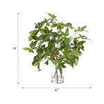 Embrace nature's charm with the green Money Tree Branch, thoughtfully displayed in a glass vase. At 38", this piece captures the natural beauty of each petal, making it ideal for brightening up office desks or kitchen countertops. Enjoy its lasting beauty year-round, perfect for adding seasonal flair without any upkeep Amethyst Home provides interior design, new home construction design consulting, vintage area rugs, and lighting in the Miami metro area.