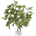 Embrace nature's charm with the green Money Tree Branch, thoughtfully displayed in a glass vase. At 38", this piece captures the natural beauty of each petal, making it ideal for brightening up office desks or kitchen countertops. Enjoy its lasting beauty year-round, perfect for adding seasonal flair without any upkeep Amethyst Home provides interior design, new home construction design consulting, vintage area rugs, and lighting in the San Diego metro area.