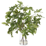 Embrace nature's charm with the green Money Tree Branch, thoughtfully displayed in a glass vase. At 38", this piece captures the natural beauty of each petal, making it ideal for brightening up office desks or kitchen countertops. Enjoy its lasting beauty year-round, perfect for adding seasonal flair without any upkeep Amethyst Home provides interior design, new home construction design consulting, vintage area rugs, and lighting in the San Diego metro area.