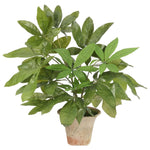 Transform your space with the green Money Tree, beautifully arranged in a terracotta pot. Standing at 23", this lifelike faux design adds sophistication, perfect for a dining table centerpiece or console display. Experience the charm of this arrangement, maintenance-free and ideal for those who love fresh, vibrant decor Amethyst Home provides interior design, new home construction design consulting, vintage area rugs, and lighting in the Austin metro area.