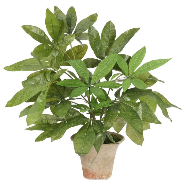 money tree arrangement Money Tree, Faux Arrangement, 23″