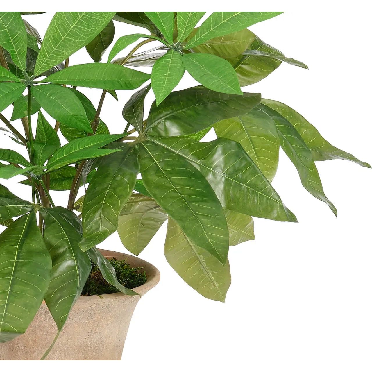 Transform your space with the green Money Tree, beautifully arranged in a terracotta pot. Standing at 23", this lifelike faux design adds sophistication, perfect for a dining table centerpiece or console display. Experience the charm of this arrangement, maintenance-free and ideal for those who love fresh, vibrant decor Amethyst Home provides interior design, new home construction design consulting, vintage area rugs, and lighting in the Boston metro area.