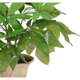 Transform your space with the green Money Tree, beautifully arranged in a terracotta pot. Standing at 23", this lifelike faux design adds sophistication, perfect for a dining table centerpiece or console display. Experience the charm of this arrangement, maintenance-free and ideal for those who love fresh, vibrant decor Amethyst Home provides interior design, new home construction design consulting, vintage area rugs, and lighting in the Boston metro area.