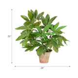 Transform your space with the green Money Tree, beautifully arranged in a terracotta pot. Standing at 23", this lifelike faux design adds sophistication, perfect for a dining table centerpiece or console display. Experience the charm of this arrangement, maintenance-free and ideal for those who love fresh, vibrant decor Amethyst Home provides interior design, new home construction design consulting, vintage area rugs, and lighting in the Laguna Beach metro area.