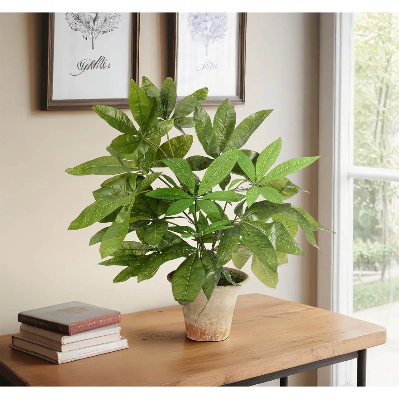 23 with a money tree Money Tree, Faux Arrangement, 23″