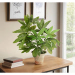 Transform your space with the green Money Tree, beautifully arranged in a terracotta pot. Standing at 23", this lifelike faux design adds sophistication, perfect for a dining table centerpiece or console display. Experience the charm of this arrangement, maintenance-free and ideal for those who love fresh, vibrant decor Amethyst Home provides interior design, new home construction design consulting, vintage area rugs, and lighting in the Newport Beach metro area.