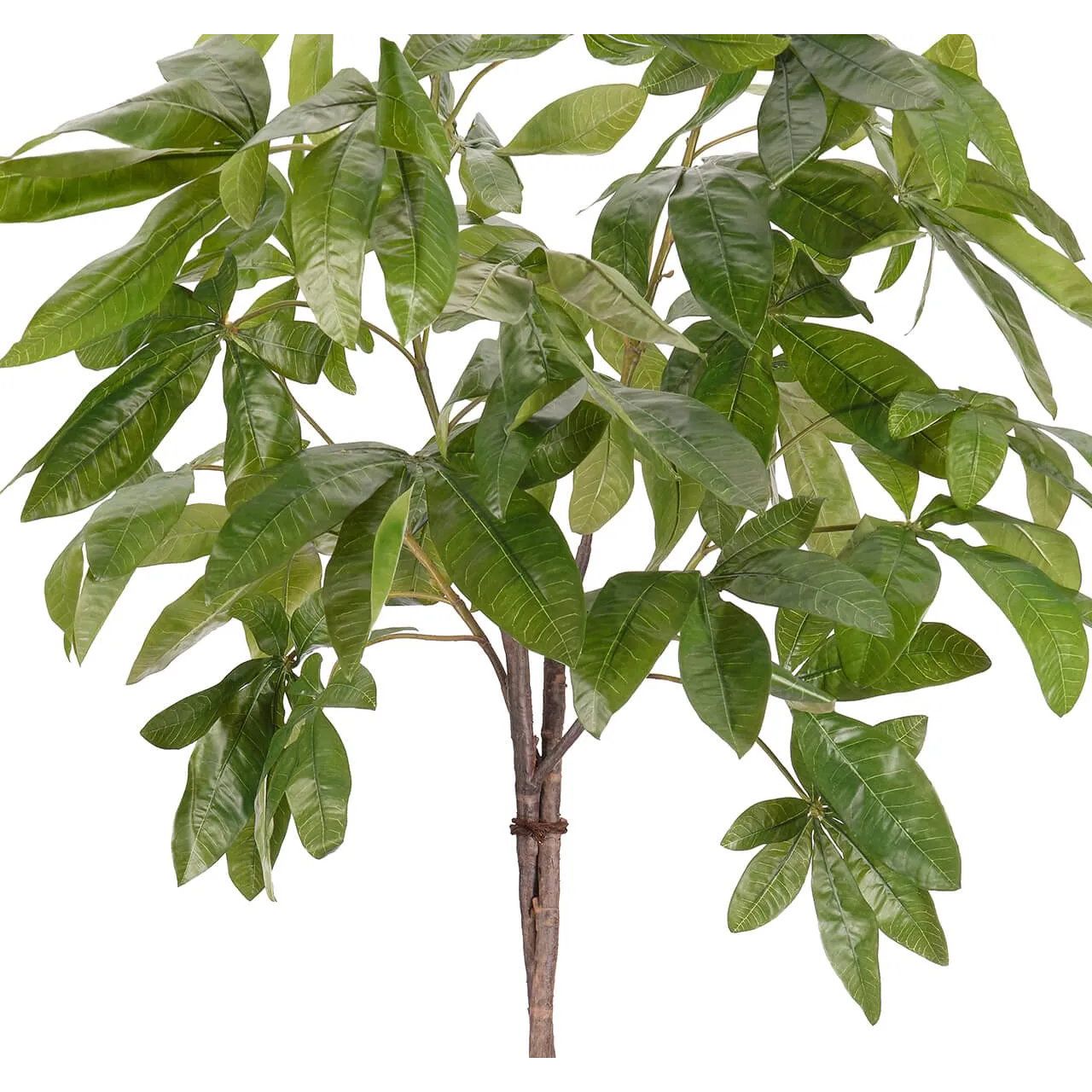 money tree portland or Money Tree, Faux Arrangement, 48″