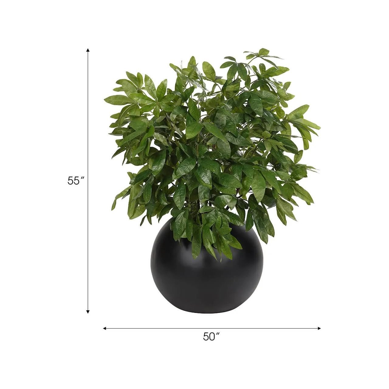 Money Tree, Faux Tree, 55 Amethyst Home provides interior design, new home construction design consulting, vintage area rugs, and lighting in the Seattle metro area.