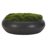 Add a burst of elegance with the green Moss Mound, set in a ceramic bowl black. At 6", this piece captures the natural beauty of each petal, making it ideal for brightening up office desks or kitchen countertops. Experience the charm of this arrangement, maintenance-free and ideal for those who love fresh, vibrant decor Amethyst Home provides interior design, new home construction design consulting, vintage area rugs, and lighting in the Omaha metro area.