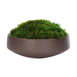 Bring timeless beauty into your home with the green Moss Mound in a concrete bowl. Reaching 7", it's a graceful addition that enhances small nooks, shelves, or bathroom vanities, adding a refined touch. This piece brings everlasting elegance, staying vibrant for any occasion without the hassle of care Amethyst Home provides interior design, new home construction design consulting, vintage area rugs, and lighting in the Monterey metro area.
