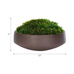 Bring timeless beauty into your home with the green Moss Mound in a concrete bowl. Reaching 7", it's a graceful addition that enhances small nooks, shelves, or bathroom vanities, adding a refined touch. This piece brings everlasting elegance, staying vibrant for any occasion without the hassle of care Amethyst Home provides interior design, new home construction design consulting, vintage area rugs, and lighting in the Nashville metro area.