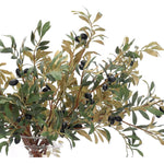 Embrace nature's charm with the green Olive Branch, thoughtfully displayed in a glass vase. With a height of 25", this arrangement offers a striking and elegant presence, blending seamlessly with seasonal or year-round decor. Enjoy its lasting beauty year-round, perfect for adding seasonal flair without any upkeep Amethyst Home provides interior design, new home construction design consulting, vintage area rugs, and lighting in the Omaha metro area.