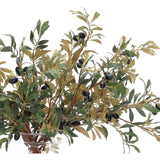 Embrace nature's charm with the green Olive Branch, thoughtfully displayed in a glass vase. With a height of 25", this arrangement offers a striking and elegant presence, blending seamlessly with seasonal or year-round decor. Enjoy its lasting beauty year-round, perfect for adding seasonal flair without any upkeep Amethyst Home provides interior design, new home construction design consulting, vintage area rugs, and lighting in the Omaha metro area.