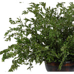 Create a luxurious atmosphere with this green Smilex Branch, housed in a bronze urn. Measuring 51", it's a versatile addition to your living room, bedroom, or entryway, complementing both classic and modern styles. Experience the charm of this arrangement, maintenance-free and ideal for those who love fresh, vibrant decor Amethyst Home provides interior design, new home construction design consulting, vintage area rugs, and lighting in the Tampa metro area.