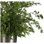 Embrace nature's charm with the green Smilex Branch, thoughtfully displayed in a aluminum vase. Reaching 63", it's a graceful addition that enhances small nooks, shelves, or bathroom vanities, adding a refined touch. Admire the lifelike blooms and rich foliage, providing a timeless touch to your home's ambiance Amethyst Home provides interior design, new home construction design consulting, vintage area rugs, and lighting in the Dallas metro area.