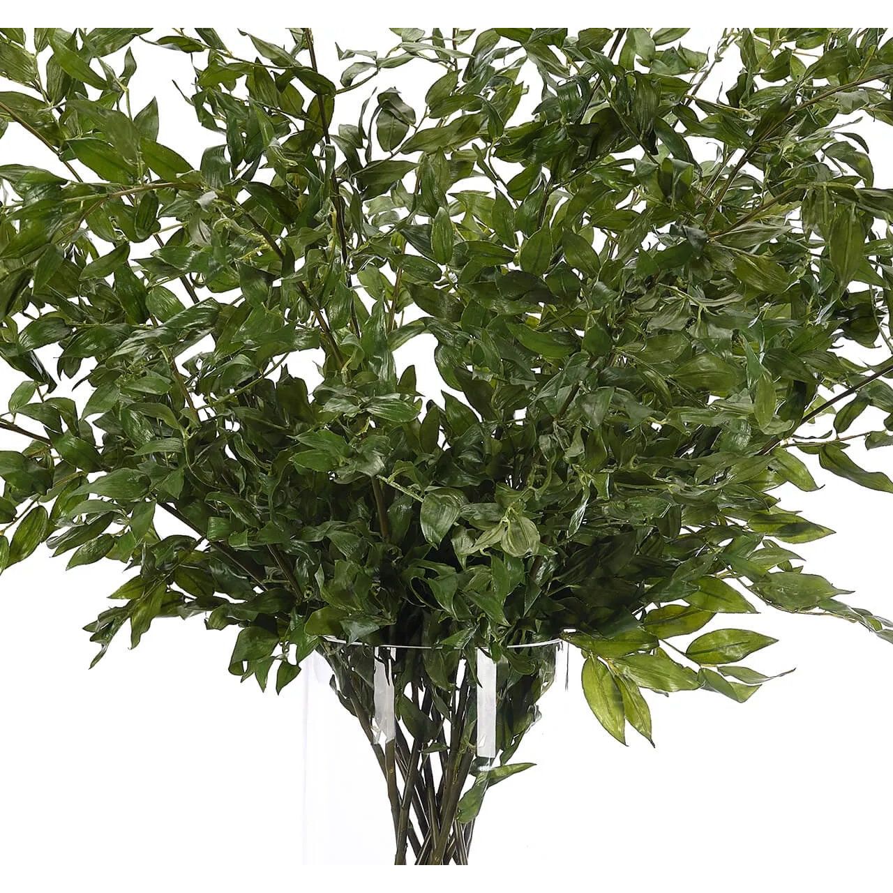 Bring timeless beauty into your home with the green Smilex in a glass vase. Standing at 48" , this lifelike faux design adds sophistication, perfect for a dining table centerpiece or console display. This piece brings everlasting elegance, staying vibrant for any occasion without the hassle of care Amethyst Home provides interior design, new home construction design consulting, vintage area rugs, and lighting in the Kansas City metro area.