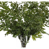 Bring timeless beauty into your home with the green Smilex in a glass vase. Standing at 48" , this lifelike faux design adds sophistication, perfect for a dining table centerpiece or console display. This piece brings everlasting elegance, staying vibrant for any occasion without the hassle of care Amethyst Home provides interior design, new home construction design consulting, vintage area rugs, and lighting in the Kansas City metro area.