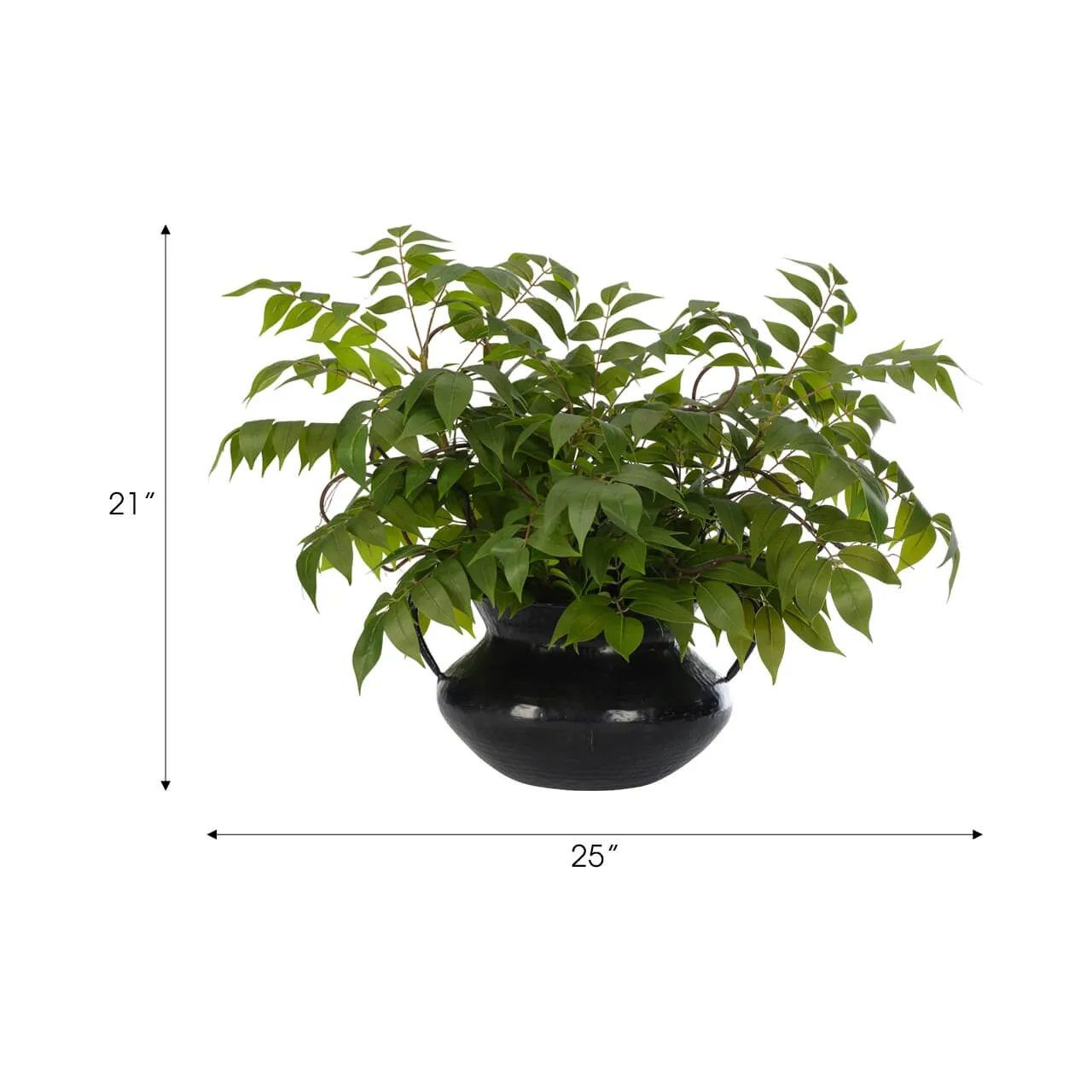 Transform your space with the green Wisteria Leaf, beautifully arranged in a iron pot. Reaching 21", it's a graceful addition that enhances small nooks, shelves, or bathroom vanities, adding a refined touch. Enjoy its lasting beauty year-round, perfect for adding seasonal flair without any upkeep Amethyst Home provides interior design, new home construction design consulting, vintage area rugs, and lighting in the Omaha metro area.