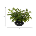 Transform your space with the green Wisteria Leaf, beautifully arranged in a iron pot. Reaching 21", it's a graceful addition that enhances small nooks, shelves, or bathroom vanities, adding a refined touch. Enjoy its lasting beauty year-round, perfect for adding seasonal flair without any upkeep Amethyst Home provides interior design, new home construction design consulting, vintage area rugs, and lighting in the Omaha metro area.