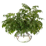 Transform your space with the green Wisteria Leaf, beautifully arranged in a glass bubble. Standing at 27", this lifelike faux design adds sophistication, perfect for a dining table centerpiece or console display. Admire the lifelike blooms and rich foliage, providing a timeless touch to your home's ambiance Amethyst Home provides interior design, new home construction design consulting, vintage area rugs, and lighting in the Portland metro area.