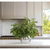 Transform your space with the green Wisteria Leaf, beautifully arranged in a glass bubble. Standing at 27", this lifelike faux design adds sophistication, perfect for a dining table centerpiece or console display. Admire the lifelike blooms and rich foliage, providing a timeless touch to your home's ambiance Amethyst Home provides interior design, new home construction design consulting, vintage area rugs, and lighting in the Seattle metro area.