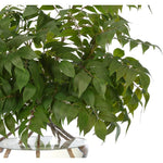 Transform your space with the green Wisteria Leaf, beautifully arranged in a glass bubble. Standing at 27", this lifelike faux design adds sophistication, perfect for a dining table centerpiece or console display. Admire the lifelike blooms and rich foliage, providing a timeless touch to your home's ambiance Amethyst Home provides interior design, new home construction design consulting, vintage area rugs, and lighting in the Tampa metro area.