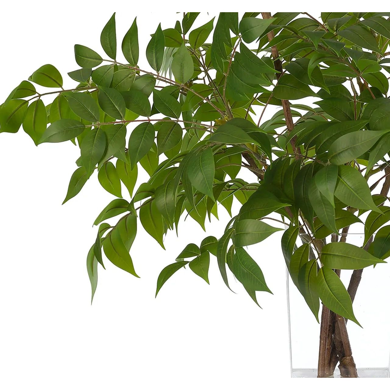 Embrace nature's charm with the green Wisteria Leaf, thoughtfully displayed in a glass vase. Measuring 35", it's a versatile addition to your living room, bedroom, or entryway, complementing both classic and modern styles. Admire the lifelike blooms and rich foliage, providing a timeless touch to your home's ambiance Amethyst Home provides interior design, new home construction design consulting, vintage area rugs, and lighting in the Houston metro area.