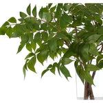 Embrace nature's charm with the green Wisteria Leaf, thoughtfully displayed in a glass vase. Measuring 35", it's a versatile addition to your living room, bedroom, or entryway, complementing both classic and modern styles. Admire the lifelike blooms and rich foliage, providing a timeless touch to your home's ambiance Amethyst Home provides interior design, new home construction design consulting, vintage area rugs, and lighting in the Houston metro area.