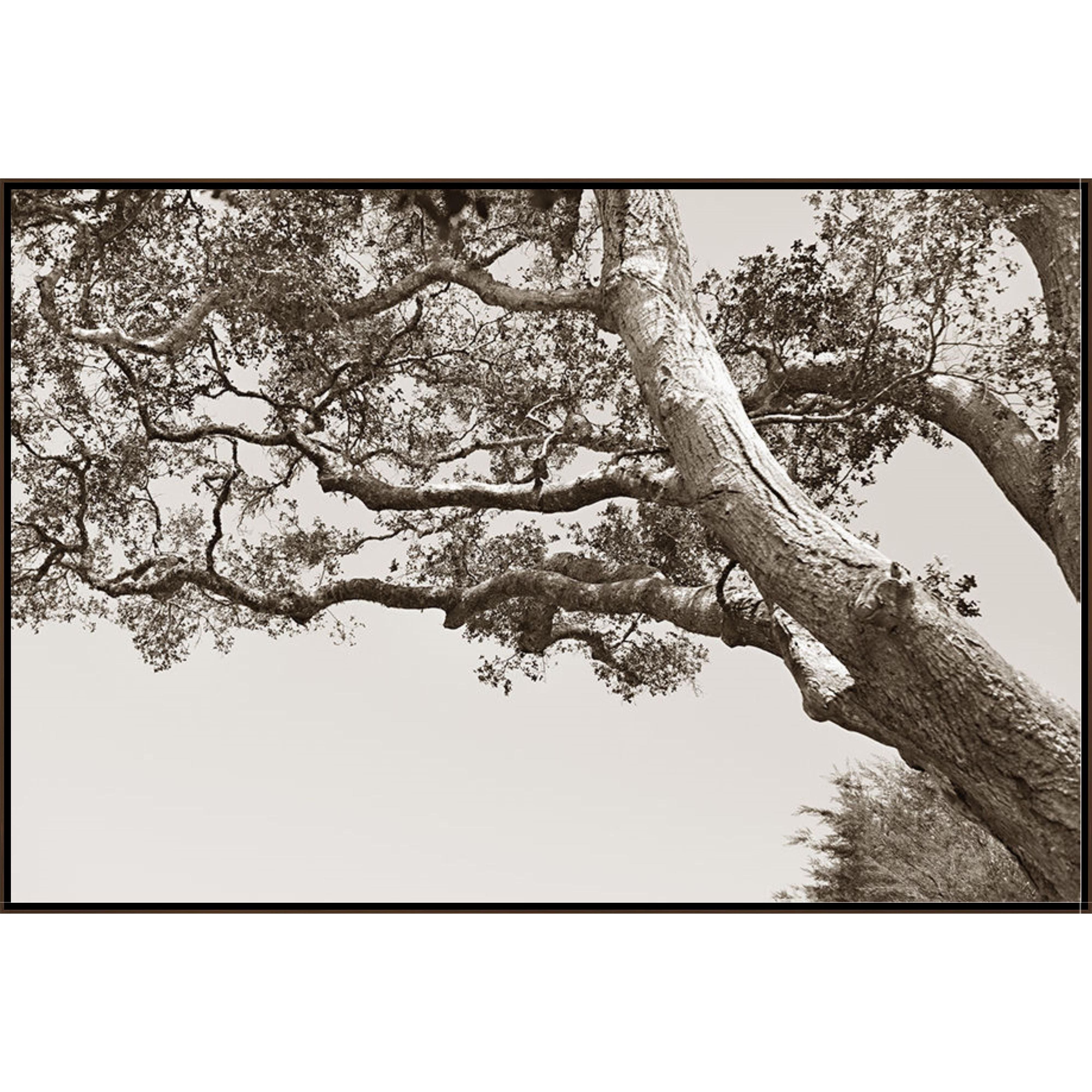  Amethyst Home provides interior design, new construction, custom furniture, and area rugs in the Alpharetta metro area