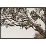  Amethyst Home provides interior design, new construction, custom furniture, and area rugs in the Alpharetta metro area